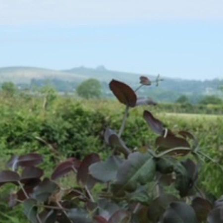 Gumtree Tipis Hotel Bickington Esterno foto