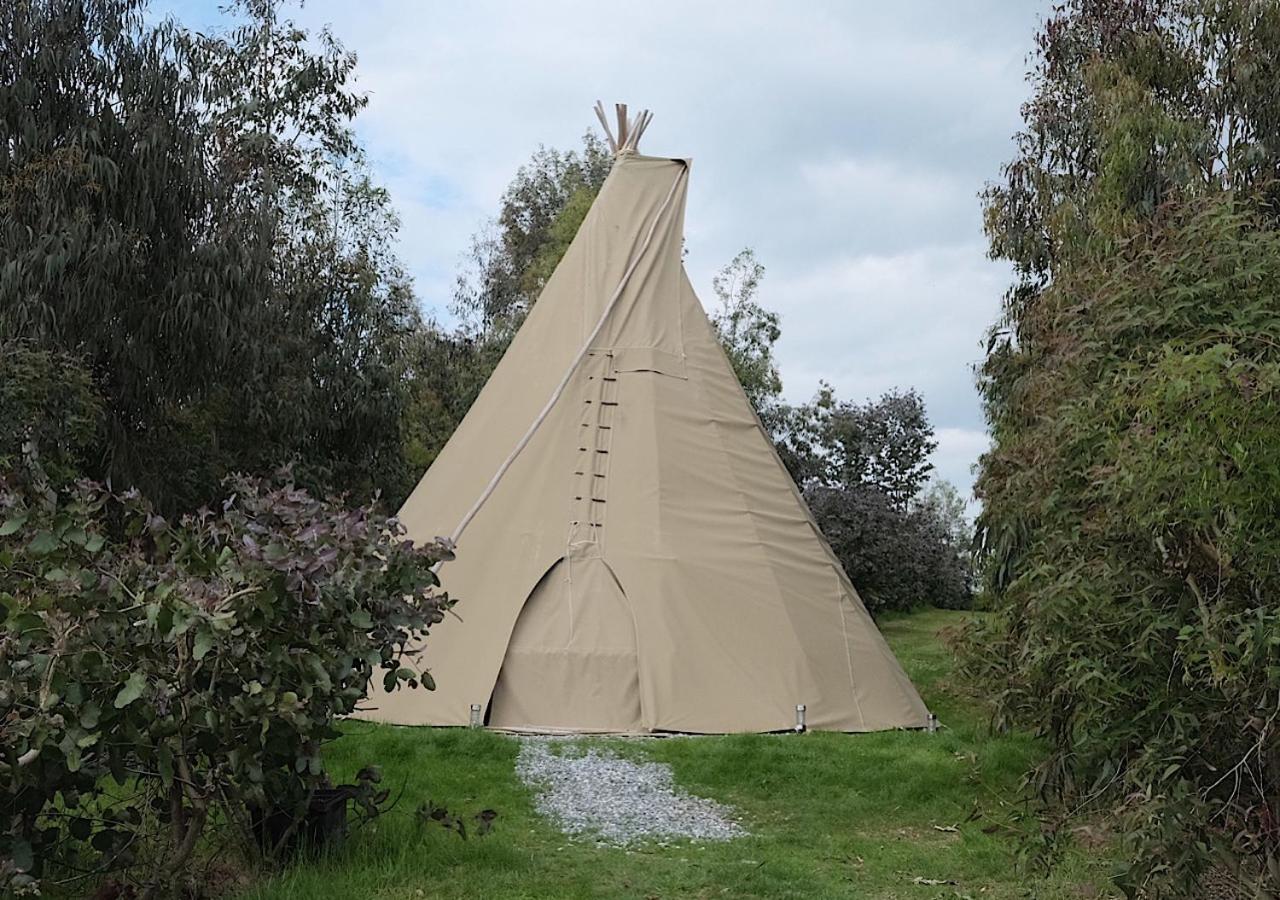 Gumtree Tipis Hotel Bickington Esterno foto