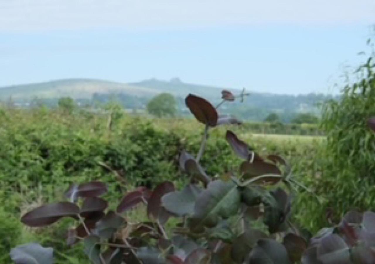 Gumtree Tipis Hotel Bickington Esterno foto