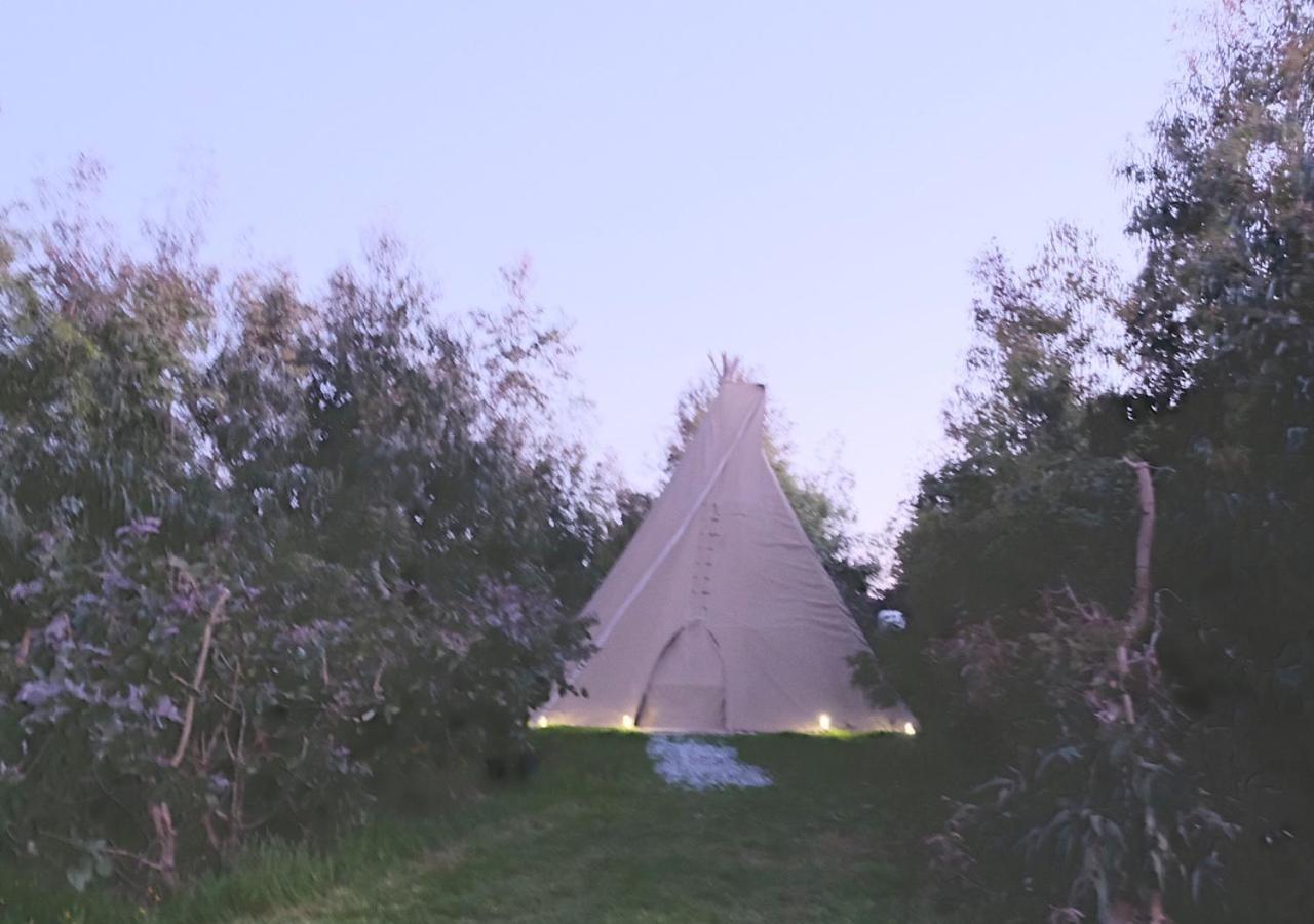 Gumtree Tipis Hotel Bickington Esterno foto